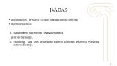 Civilinis (legisakcioninis) procesas: skaidrės 2 puslapis