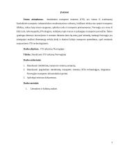 Intelektinių transporto sistemų (ITS) taikymas Norvegijoje 2 puslapis