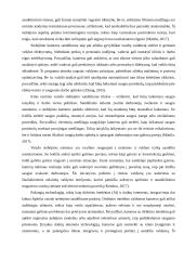 Vaizdo stebėjimo kameros sandėliuose (logistikos savarankiškas darbas) 2 puslapis