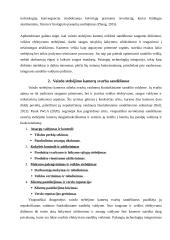 Vaizdo stebėjimo kameros sandėliuose (logistikos savarankiškas darbas) 3 puslapis