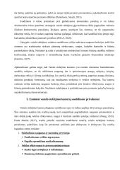 Vaizdo stebėjimo kameros sandėliuose (logistikos savarankiškas darbas) 4 puslapis