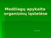 Medžiagų apykaita organizmų ląstelėse