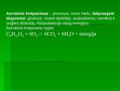 Medžiagų apykaita organizmų ląstelėse 12 puslapis