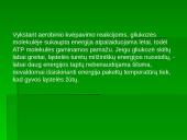 Medžiagų apykaita organizmų ląstelėse 13 puslapis