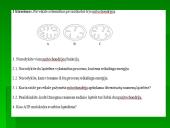 Medžiagų apykaita organizmų ląstelėse 15 puslapis