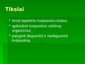 Medžiagų apykaita organizmų ląstelėse 3 puslapis