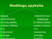 Medžiagų apykaita organizmų ląstelėse 4 puslapis