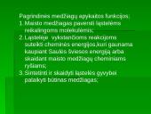 Medžiagų apykaita organizmų ląstelėse 6 puslapis