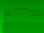 Medžiagų apykaita organizmų ląstelėse 7 puslapis