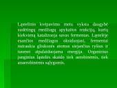 Medžiagų apykaita organizmų ląstelėse 8 puslapis