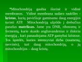 Medžiagų apykaita organizmų ląstelėse 9 puslapis