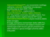 Medžiagų apykaita organizmų ląstelėse 10 puslapis