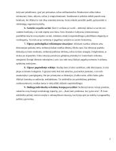 Suaugusio žmogaus elgesio portretas (stebėjimo metodas) 4 puslapis