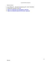 Elektroninis parašas (referatas) 12 puslapis