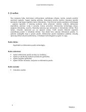 Elektroninis parašas (referatas) 3 puslapis