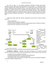 Elektroninis parašas (referatas) 5 puslapis