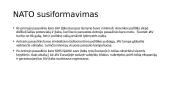 NATO vaidmuo JAV ir europos saugumo architektūroje 3 puslapis