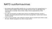 NATO vaidmuo JAV ir europos saugumo architektūroje 4 puslapis