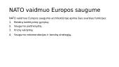 NATO vaidmuo JAV ir europos saugumo architektūroje 5 puslapis