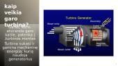 Skaidrės. Garo turbina 5 puslapis
