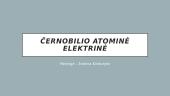 Černobilio atominė elektrinė