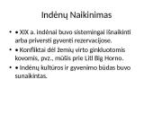 JAV kelias į pasaulio galybę (skaidrės) 7 puslapis