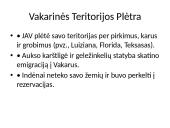 JAV kelias į pasaulio galybę (skaidrės) 8 puslapis