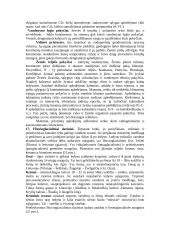Plati geologijos teorija 14 puslapis