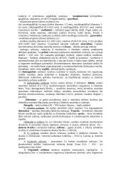 Plati geologijos teorija 19 puslapis