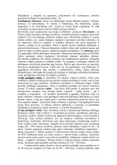 Plati geologijos teorija 4 puslapis