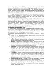 Plati geologijos teorija 6 puslapis