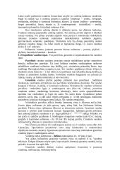 Plati geologijos teorija 7 puslapis
