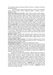 Plati geologijos teorija 9 puslapis