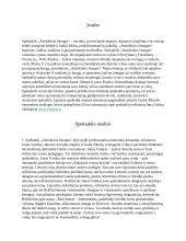 Spektaklio „Atsitiktinis žmogus” (režisierius Jonas Vaitkus) recenzija