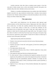 Ūkininko ūkio teisinis statusas 4 puslapis