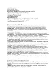 Inžinerinė geologija teorija 4 puslapis