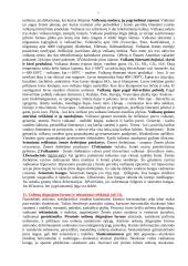 Geologija. Egzamino klausimai 6 puslapis