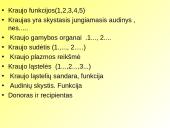 Skaidrės apie kraują 2 puslapis