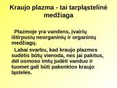 Skaidrės apie kraują 11 puslapis