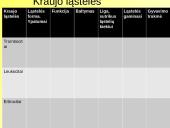 Skaidrės apie kraują 12 puslapis