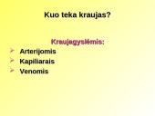 Skaidrės apie kraują 19 puslapis