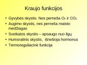 Skaidrės apie kraują 3 puslapis