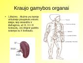 Skaidrės apie kraują 5 puslapis