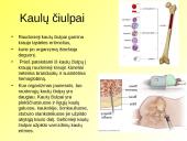 Skaidrės apie kraują 6 puslapis