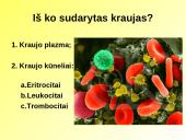 Skaidrės apie kraują 7 puslapis