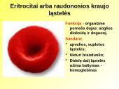 Skaidrės apie kraują 8 puslapis