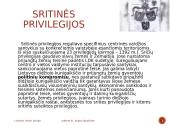 LDK privilegijos. Kazimiero teisynas 13 puslapis