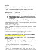 Finansų pagrindų konspektas 11 puslapis