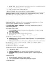 Finansų pagrindų konspektas 7 puslapis