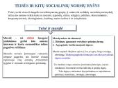 Teisės norma socialinių normų sistemoje 20 puslapis